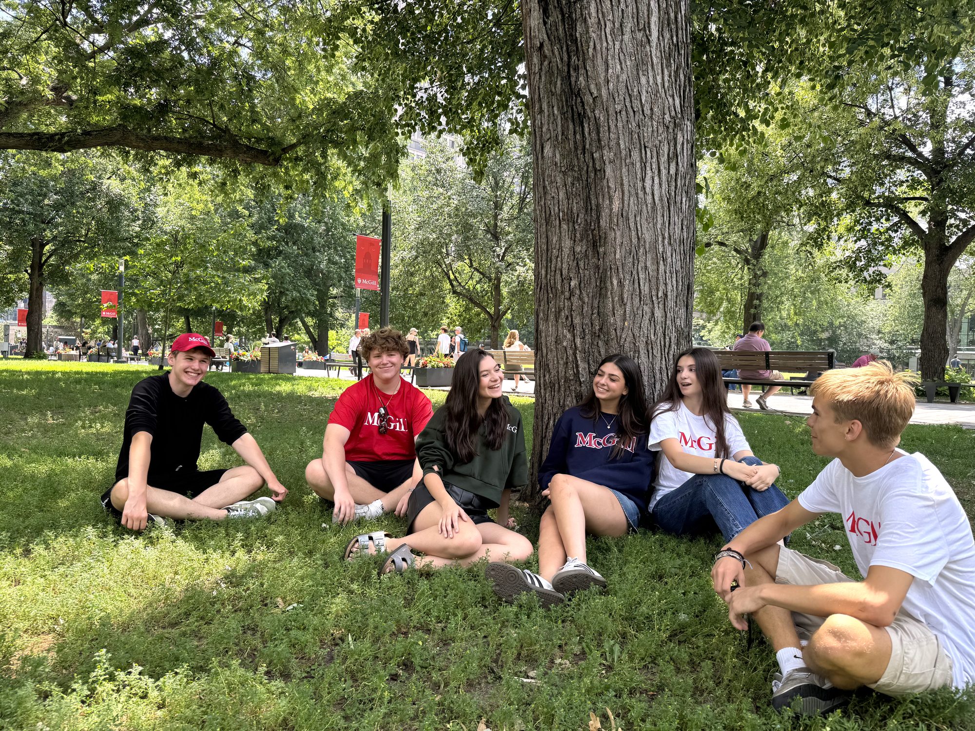 Teens sitting together on the grass under a tree on a college campus