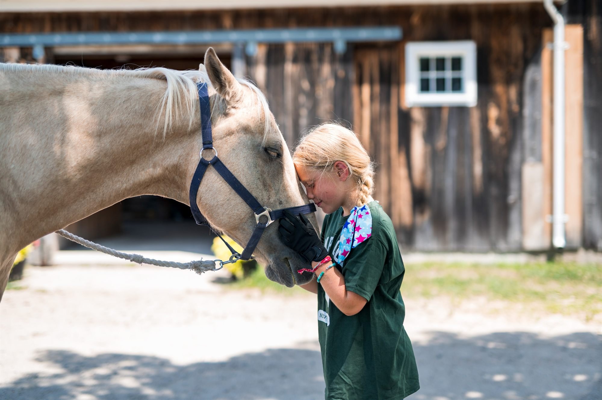 A camper standing beside a horse at the stables